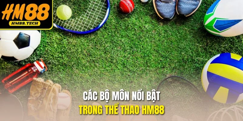 Các bộ môn nổi bật trong thể thao HM88
