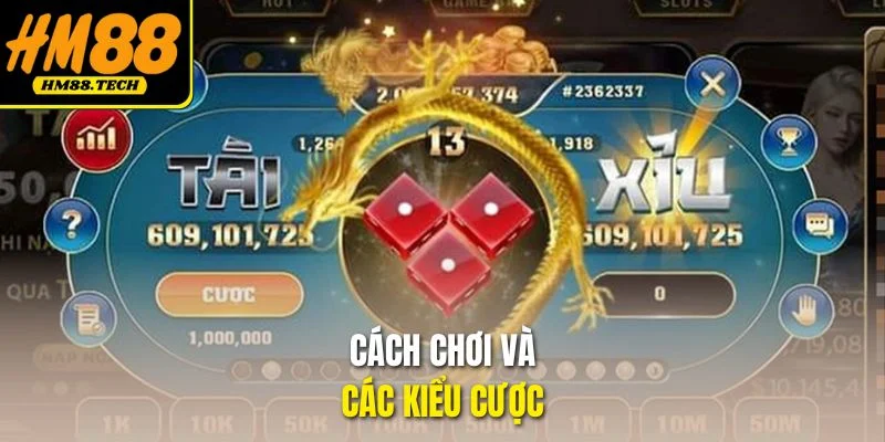 Cách chơi và các kiểu cược